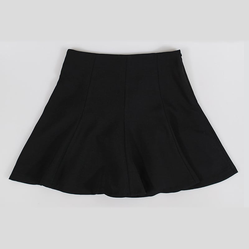 Korean Style High Waist Flared A-line Pleated Skirt